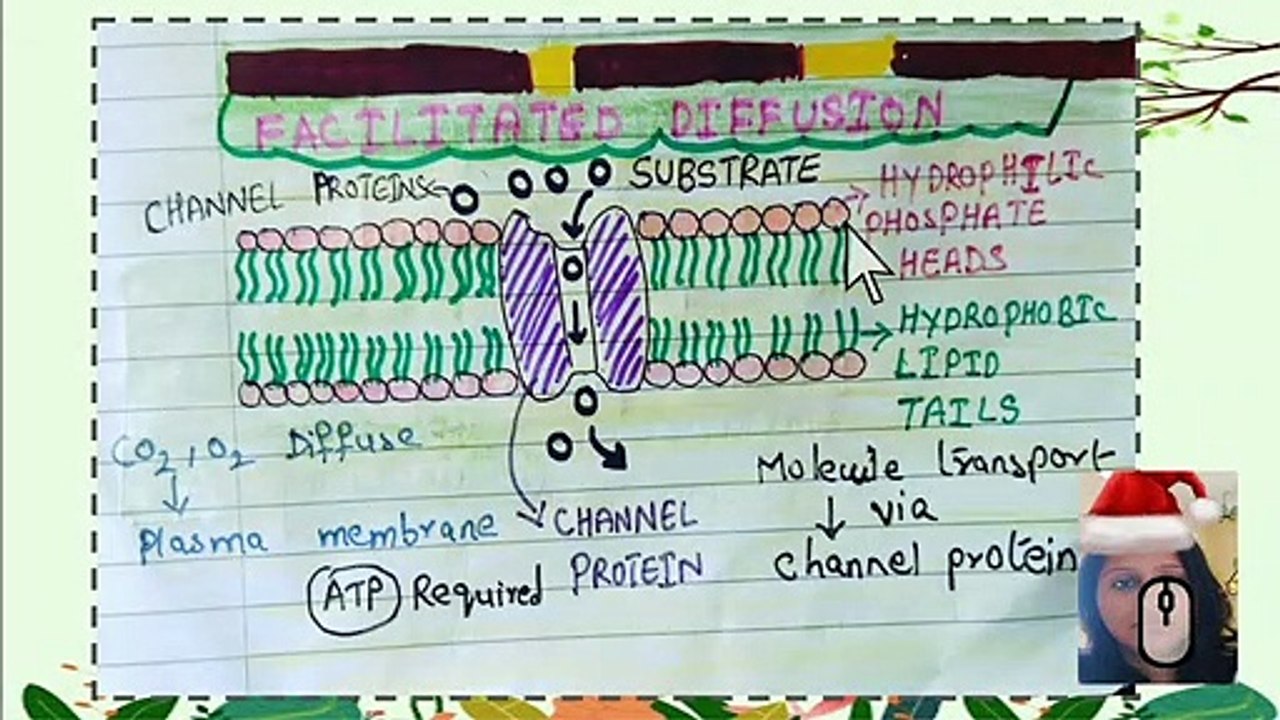 Transport Across Cell membrane