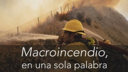 Fundéu: incendios forestales, 12 claves de redacción