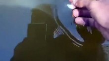 Homem tem surpresa ao alimentar os peixes do lago