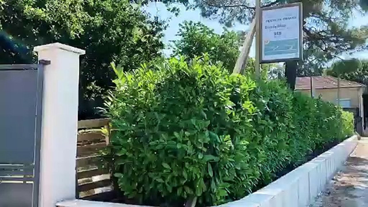 Le château Janisson ouvre son Chalet, une cabane de vente de vins à emporter