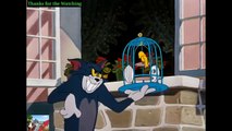 TOM & JERRY |sunny day activities|Classic Cartoon|New Cartoon|Cartoons|France Anime|Animated Cartoon|Dessin Cartoon|Dessin Anime