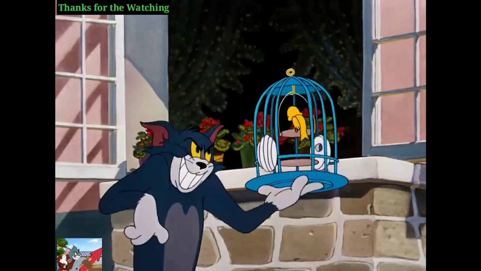 TOM & JERRY |sunny day activities|Classic Cartoon|New Cartoon|Cartoons|France Anime|Animated Car