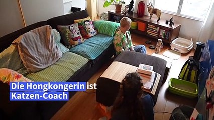 "Die Katzen sind nicht das Problem, sondern ihre Besitzer"