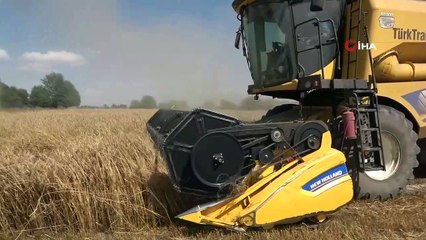 Muşlu çiftçiler devlet desteğiyle dağıtılan tritikaleden memnun