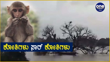 Karnataka Rain : ನದಿ ಮದ್ಯೆ ಸಿಲುಕಿದ್ದ ಕೋತಿಗಳನ್ನು ರಕ್ಷಿಸಿದ ರೋಚಕ ದೃಶ್ಯ Oneindia Kannada