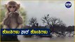 Karnataka Rain : ನದಿ ಮದ್ಯೆ ಸಿಲುಕಿದ್ದ ಕೋತಿಗಳನ್ನು ರಕ್ಷಿಸಿದ ರೋಚಕ ದೃಶ್ಯ | Oneindia Kannada