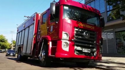 Risco de queda de árvore no Bairro Parque São Paulo mobiliza Corpo de Bombeiro