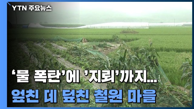 '물 폭탄'에 '지뢰'까지...엎친 데 덮친 철원 마을 / YTN