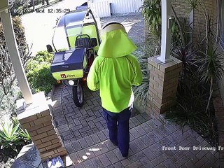 Cheeky Crow Steals Package in Perth