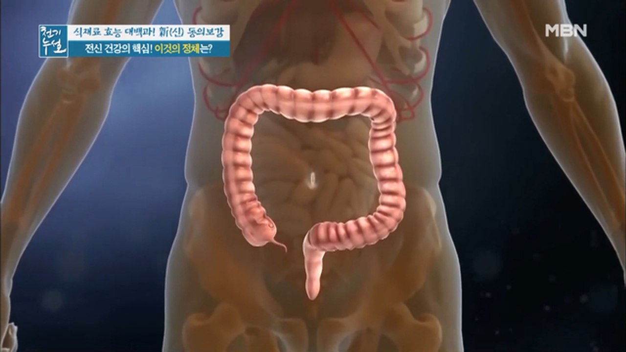 전신 건강의 핵심, '장' 여름철 장 건강 비상 주의보!?
