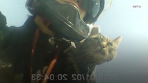 Мохнатый пассажир. Мотоциклист из Иркутской области путешествует с котом на плечах