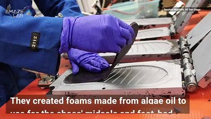 Algae-Based Flip-Flops Could Help Reduce Tons of Plastic Waste