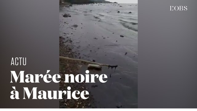 A l'île Maurice, des hydrocarbures arrivent sur les côtes après qu'un navire s'est échoué