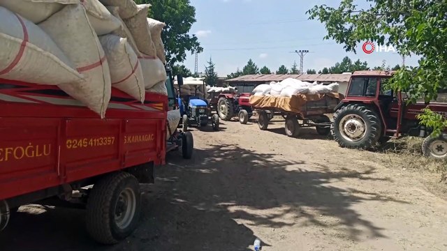 Türkiye’nin önemli haşhaş üretim merkezlerinden Afyonkarahisar’da ’haşhaş kapsülü’ alımı başladı