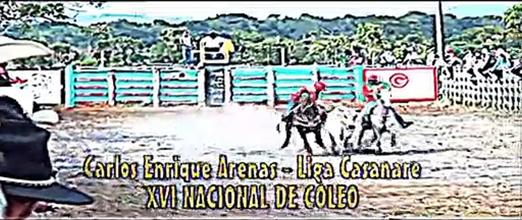 XVI NACIONAL DE COLEO