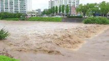 경상·호남 지역 또다시 물 폭탄...YTN 접수된 제보 영상 / YTN