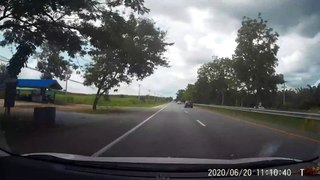 Driver dodges falling tree branch