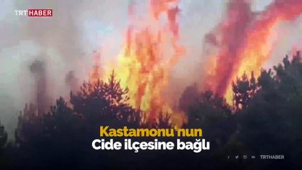 Kastamonu'da orman yangını