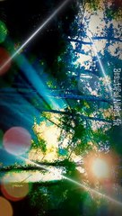 Whatsapp full screen status|  tuje bhula diya ✍️ Jo Beetay lamhe poochte hai kyun hue