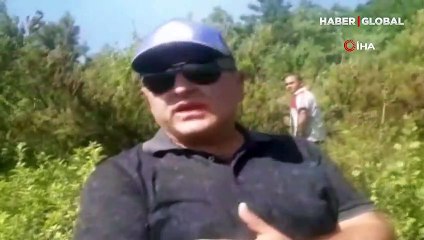 Kastamonu'da orman yangını