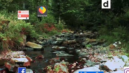 How to get more subscribe || কিভাবে বেশি সাবস্ক্রাইব,  ভিউজ, Follows পাওয়া যাবে