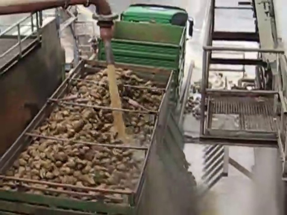 Amazing stone Washing Technology