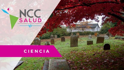 Due­los sin des­pe­di­da: los pro­to­co­los sa­ni­ta­rios ante las muer­tes por CO­VID-19