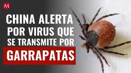 China alerta por virus que se transmite por garrapatas; síntomas