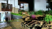 전남 구례 펜션서 산사태로 70여 명 긴급 대피 / YTN