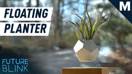 Zen out with this levitating planter — Future Blink