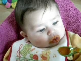 Premier repas à la carotte