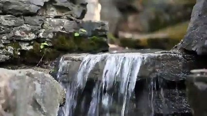 MORNING MIND FRESH __  __ MEDITATION__  __ DEEP MEDITATION__  __MIND FRESH__ __RELAXING__