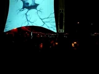 Flashover caberet sauvage 2