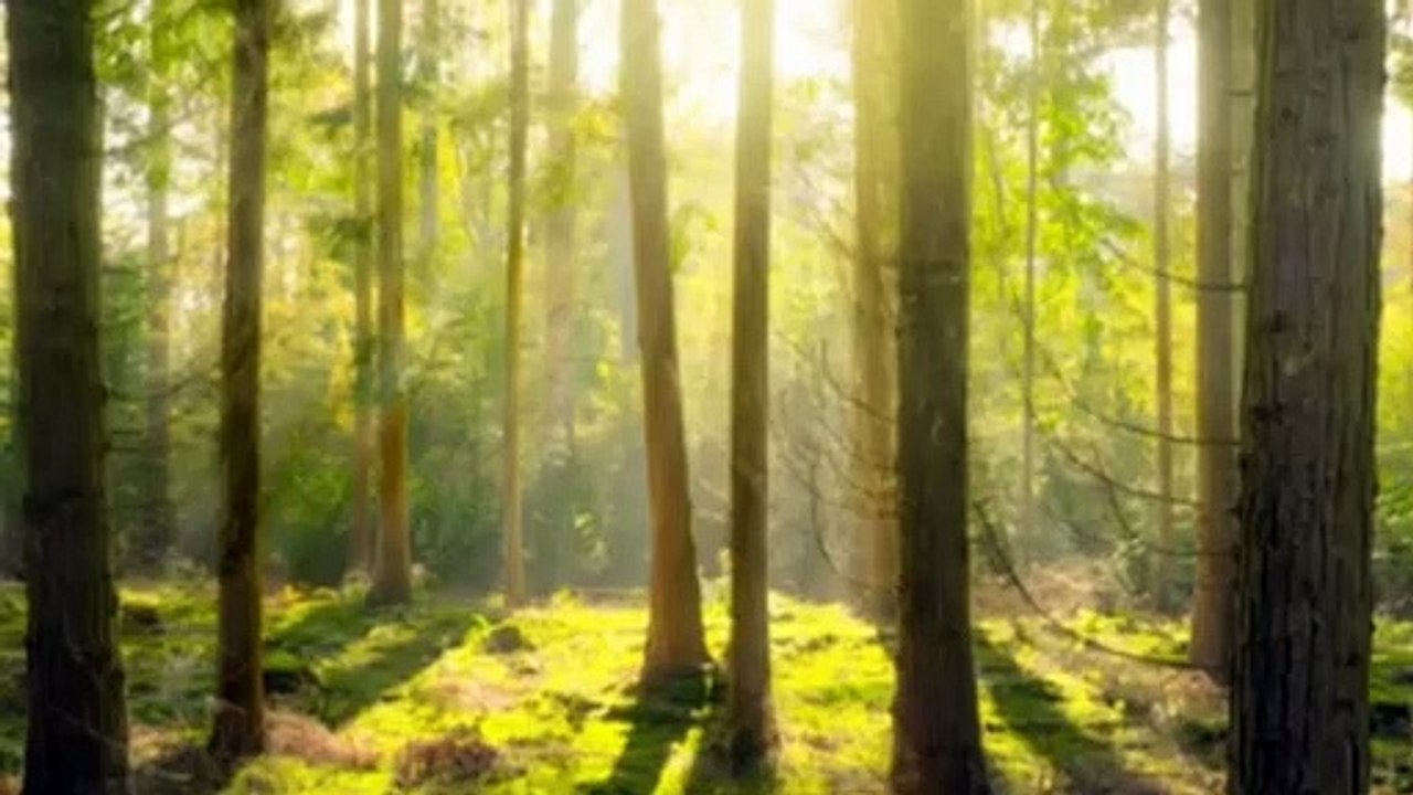 || meditation || || Beautiful || || Relaxing Music for Stress Relief || • , Sleep, Meditate.