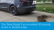 This Tesla Model 3 accumulated 30 pounds of dirt in 36,000 miles.