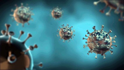 Можно заразиться повторно Отвечаем на вопросы об иммунитете к Covid-19