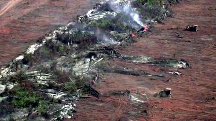 기상이변 속출... 지구촌 산불 사태 · 북극 얼음 감소 / YTN