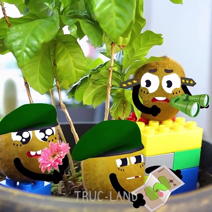 Les fruits drôles pensent qu'ils sont trop cools pour aller à l'école - TRUC-LAND