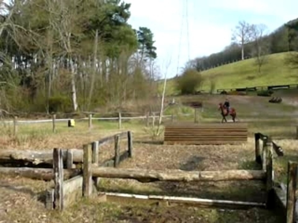 Oxer de tronc