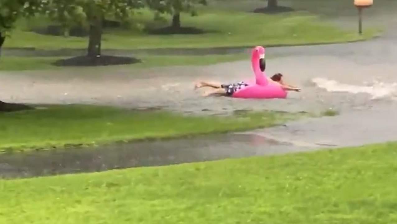 Didn't expect to see this during a flood