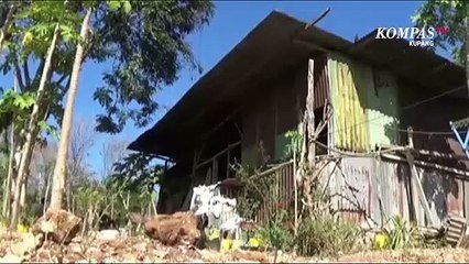 1 Keluarga Miskin Di Kupang Terpaksa Tinggal di Bekas Kandang Ayam