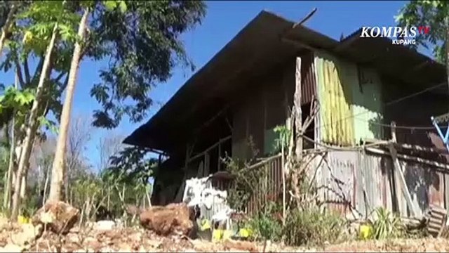 1 Keluarga Miskin Di Kupang Terpaksa Tinggal di Bekas Kandang Ayam