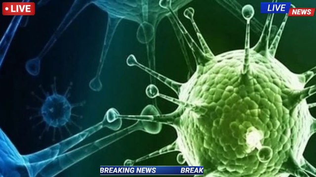 8 अगस्त 2020 के मुख्य समाचार| 8 अगस्त 2020 की खबरें| आज की ताज़ा खबरें| देश के मुख्य समाचार | Top Breaking news | 8 August 2020 Latest news