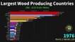 World's Largest Wood Producing Countries from 1961 to 2019
