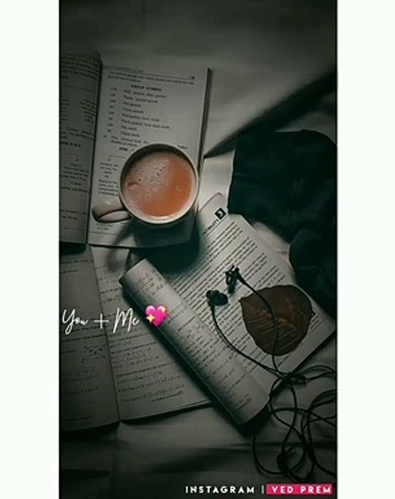New whatsApp status