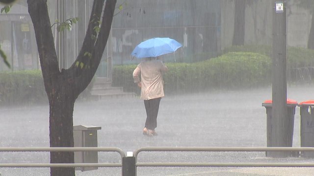 밤사이 중부 다시 호우, 최고 500mm...열대저압부도 북상 중 / YTN