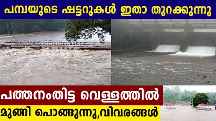 Heavy Rain in Pathanamthitta: Flood Alert & Dam Opening Possibility 🌧️