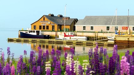 Settle in Canada_Prince Edward Island Provincial Nominee Program