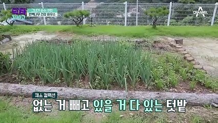 ※암을 이겨낸 비밀 아지트※ 직접 지은 숨쉬는 집 & 친환경 텃밭!