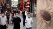 Coronavirus के बाद अब China के Wuhan City में फैला ये अनोखा वायरस, जानें क्या हैं लक्षण | Boldsky